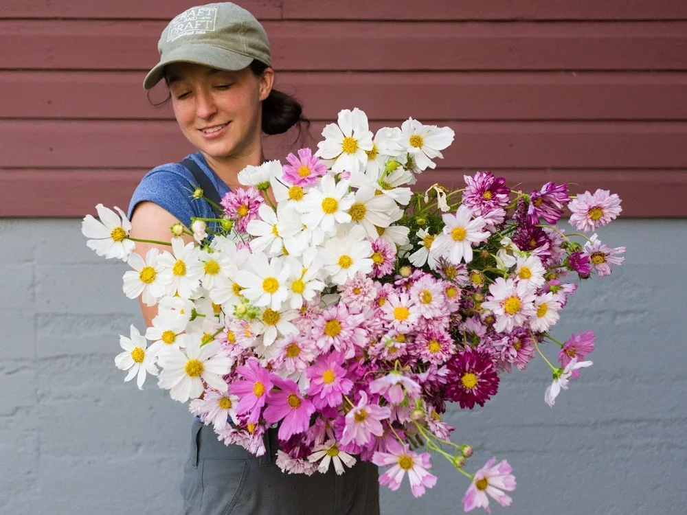 Wholesale Flowers for Florists | Columbia, SC Farm — Boone Fox Farm